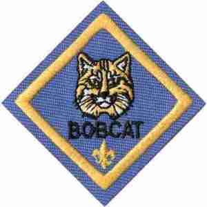Cub Scout Bobcat Rank Boy Scout